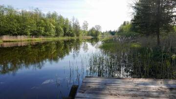 Фото номера Дом с 1 спальней Гостевой дом Allika-Löövi Sauna house г. Suure-Jaani 9